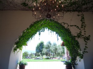 SAMSUNG CAMERA PICTURES