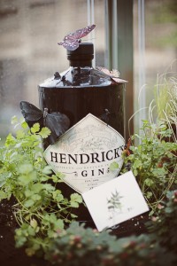 Hendricks Bottle Shots (6)