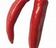 539f8d2e69f42_-_cos-chili-peppers-0509-de-25626652