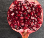 539f8d324c486_-_0168837584