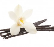 539f8d365edec_-_0182791233