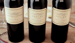 11391135_1002771826402015_1980770304021473854_n