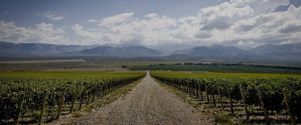 Graffigna Winery